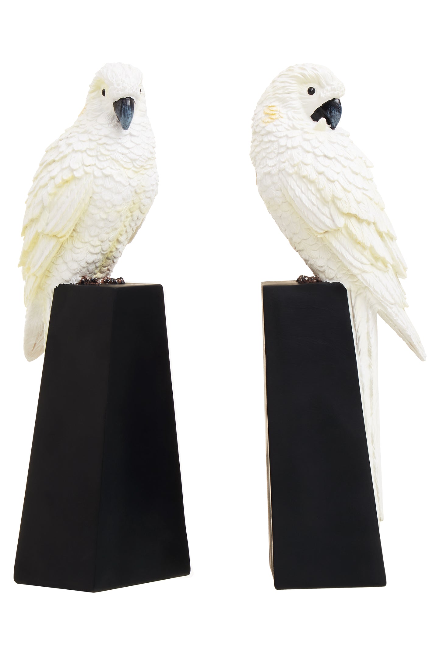 The Pretty Polly Bookends, 41cm, White, Black & Yellow