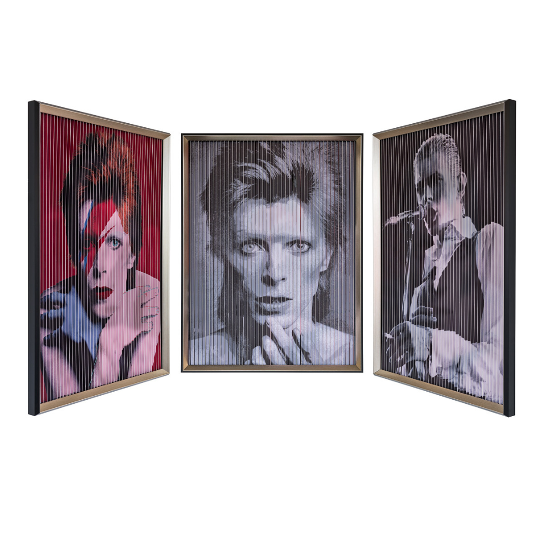 Ziggy Pop - David Bowie Wall Art